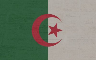 Top 11 Best Algeria Proxies in 2025