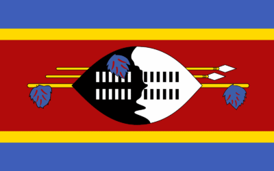 Top 10 Best Eswatini Proxies in 2025