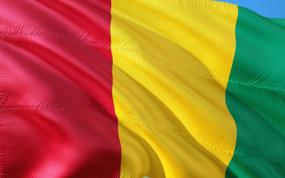 Top 10 Best Guinea Proxies in 2025