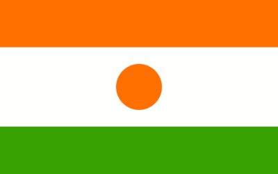 Top 10 Best Niger Proxies in 2025