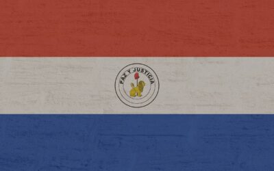 Top 20 Best Paraguay Proxies in 2025